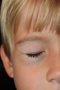 Shawnelle's son's first shiner.