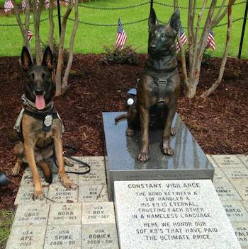 Ddoc at the Special Forces Canine monument, Fayetteville, NC. Photo courtesy of Sgt. Chloe Wells)