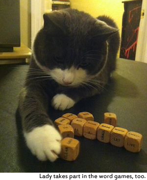 Lady the cat plays with word game tiles