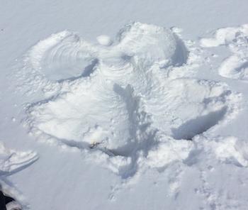 A snow angel. Photo by Louisiana Scherman.