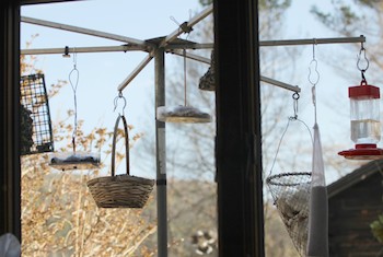 The TV antenna bird feeder. Photo by Barbara K. Higgins.