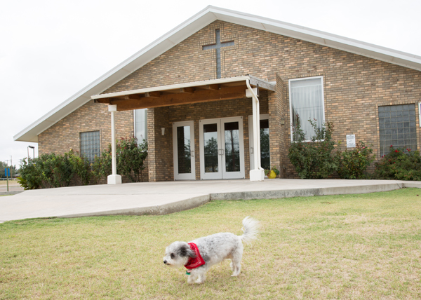 Guideposts: Homer on the lawn outside St. Helen’s Catholic Church